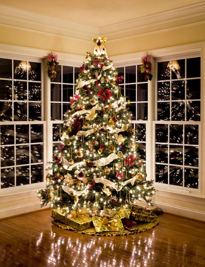 how-to-decorate-a-christmas-tree-professionally-2015-jr6tttub